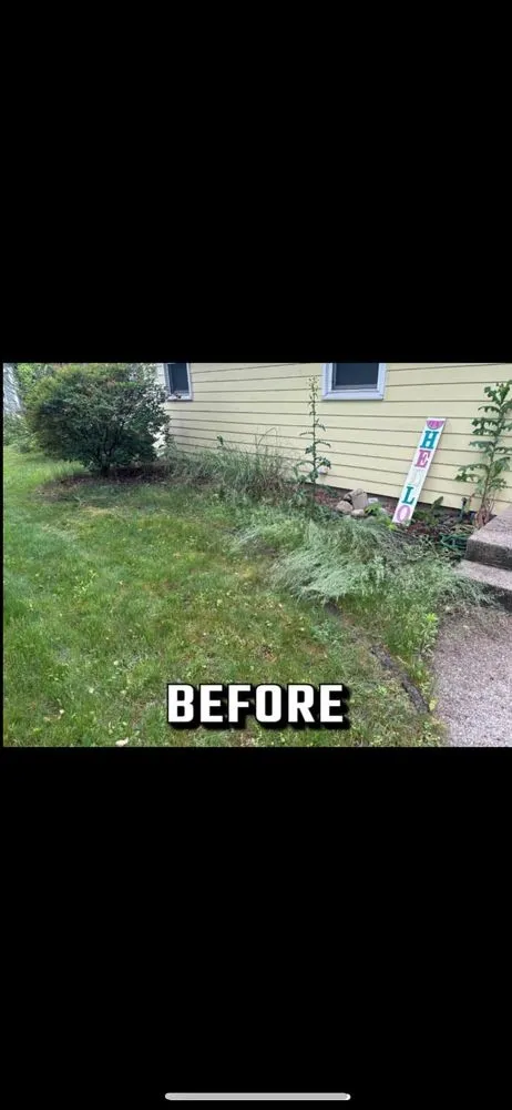 Local garden landscaping experts serving New Braunfels, TX - Affordable Green Solutions