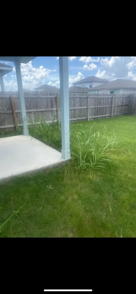 Top-rated yard cleanup service near you in New Braunfels, TX by Affordable Green Solutions