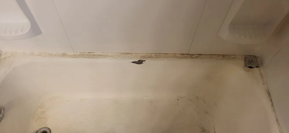 Professional lawn care service in Radcliff, KY by Affordable Handyman