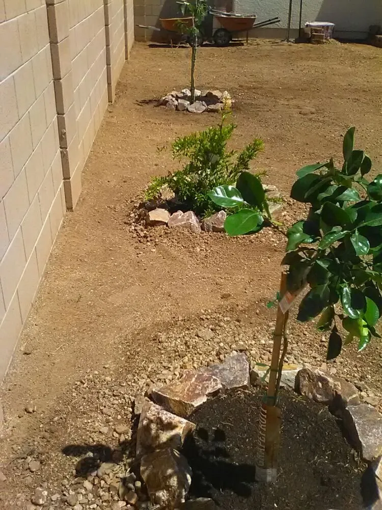 Top-rated outdoor landscaping for homes in Sierra Vista, AZ by Affordable Home Improvements