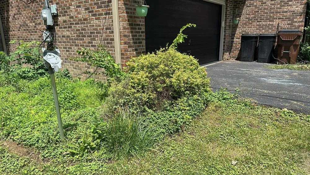 Affordable lawn care service near you across Beavercreek Township, OH - Affordable Home Maintenance