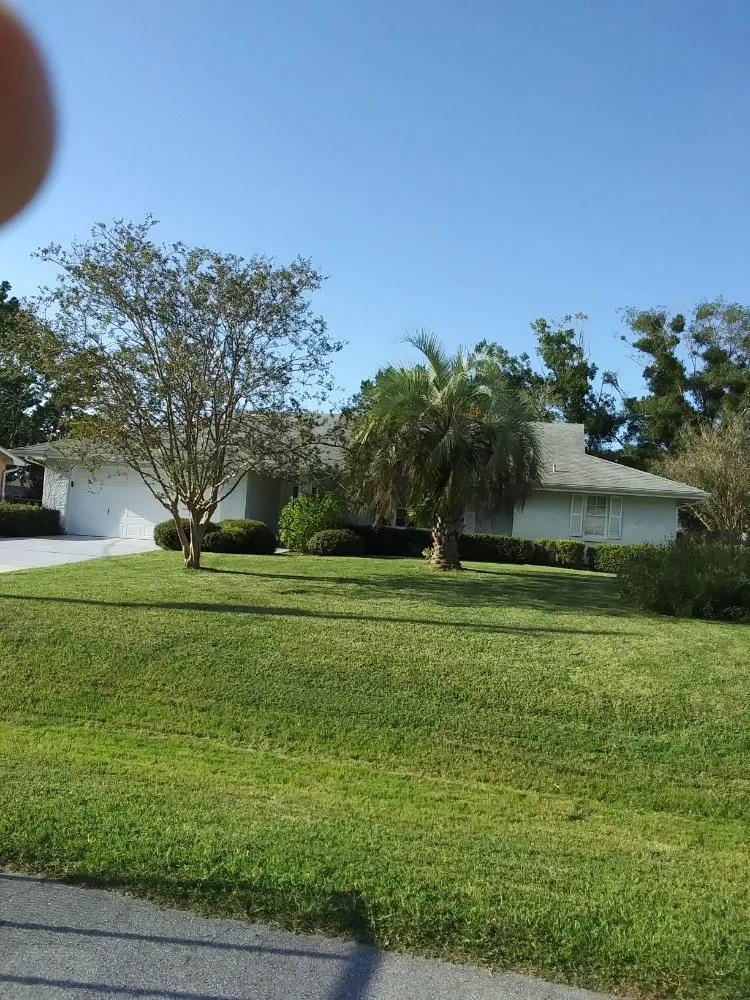 Custom lawn mowing service in Saint Augustine, FL by Affordable Home Maintenance