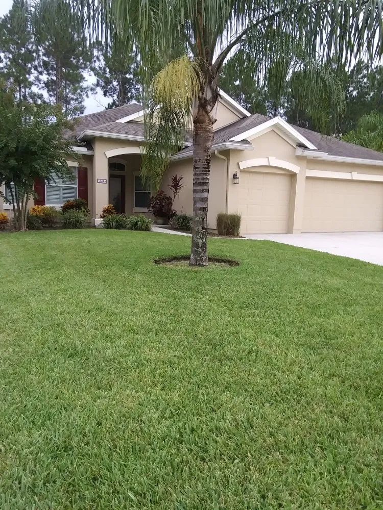 Top-rated garden landscaping in Saint Augustine, FL - Affordable Home Maintenance