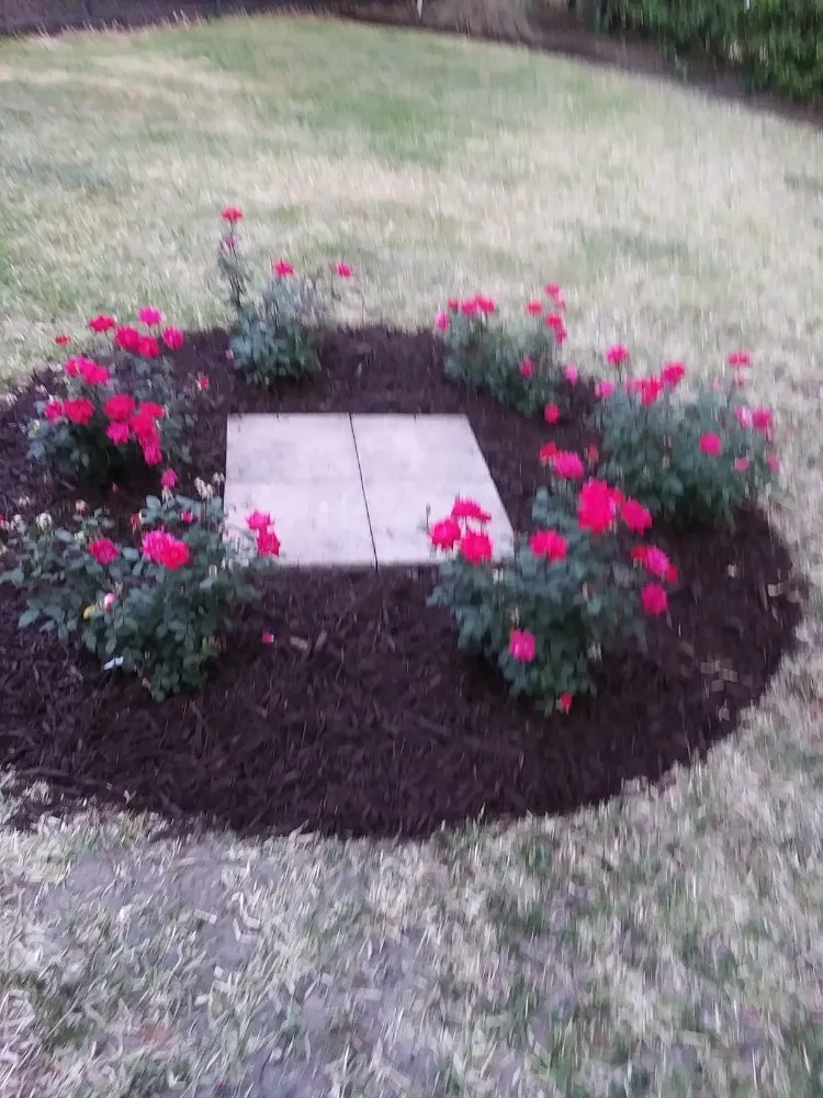 Reliable lawn mowing service in Saint Augustine, FL by Affordable Home Maintenance