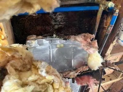 Affordable outdoor landscaping with custom design across Valparaiso, IN - Affordable Home Repair Heroes