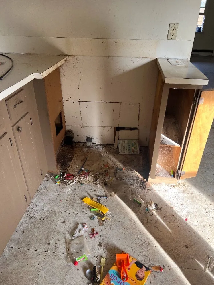 Expert yard cleanup service in Lenoir, NC - Affordable Home Repairs