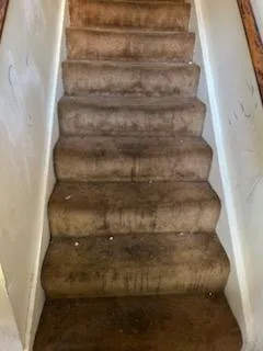 Affordable landscaping services experts serving Lenoir, NC - Affordable Home Repairs