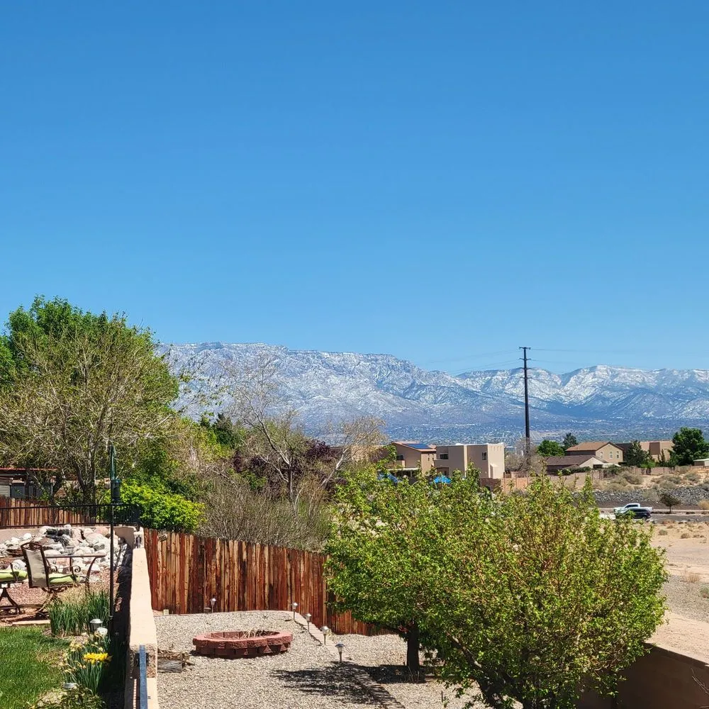 Top-rated yard cleanup service in Albuquerque, NM by Affordable Irrigation