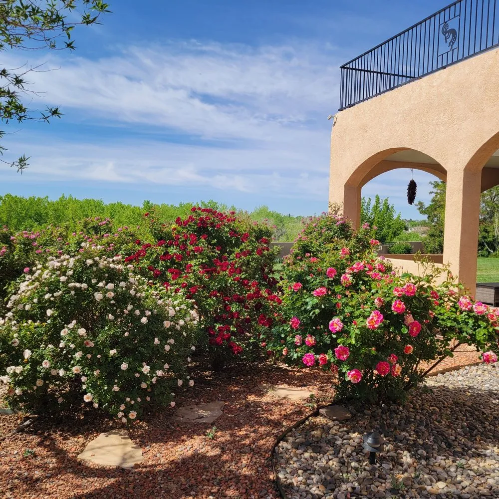 Top-rated garden landscaping in Albuquerque, NM by Affordable Irrigation