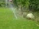 Top-rated landscaping services in Miami, FL - Affordable Irrigation