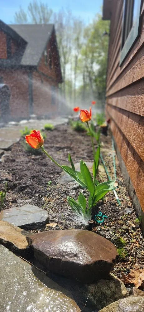 Expert residential landscaping experts serving Pine Plains, NY - Affordable Irrigation