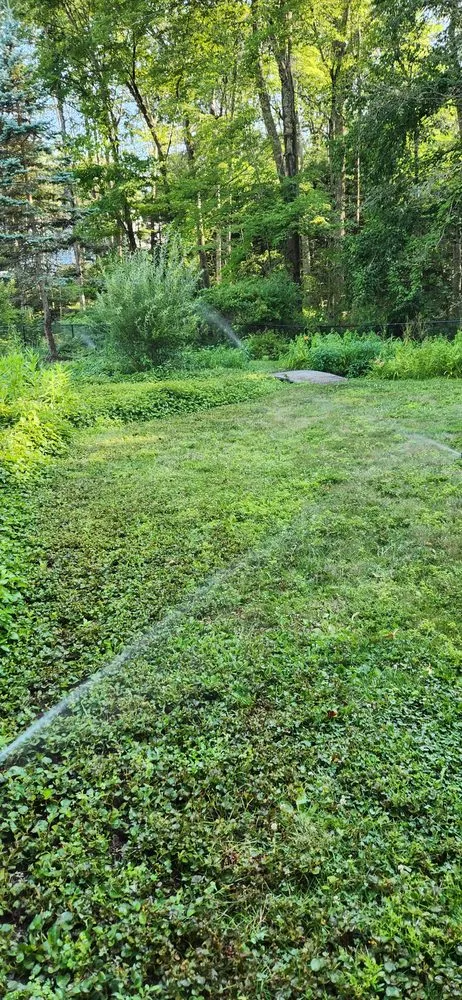 Expert landscape design experts serving Pine Plains, NY - Affordable Irrigation