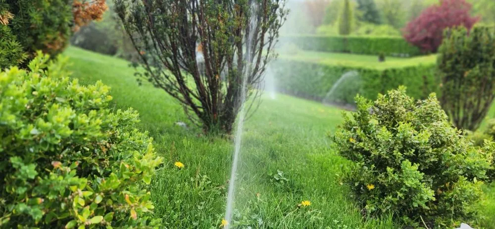 Trusted landscaping services for homes in Pine Plains, NY by Affordable Irrigation