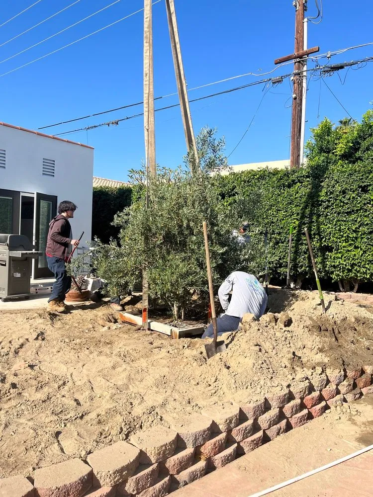 Affordable lawn care service in Cathedral City, CA - Affordable Irrigation Tech