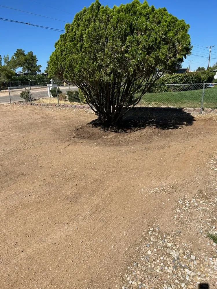 Reliable landscaping services in Hesperia, CA - Affordable Junk Removal & Yard Care