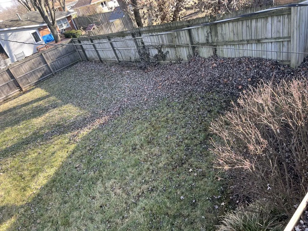 Expert yard cleanup service in Muncie, IN by Affordable Junk Removal