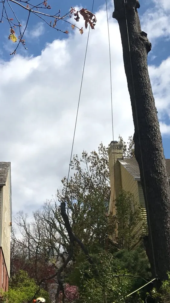 Professional landscaping services in Baltimore, MD by Affordable K