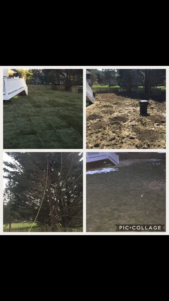 Trusted yard maintenance in Baltimore, MD - Affordable K