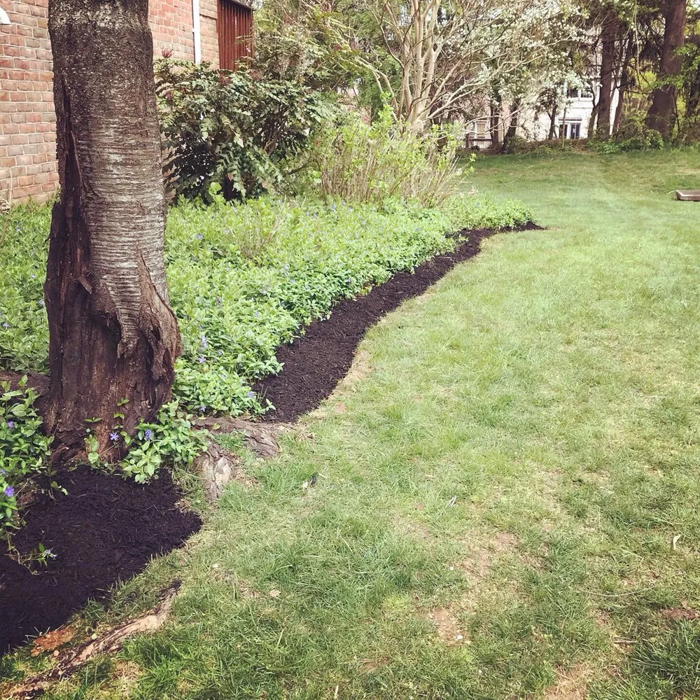 Top-rated landscaping services for year-round maintenance across Baltimore, MD - Affordable K