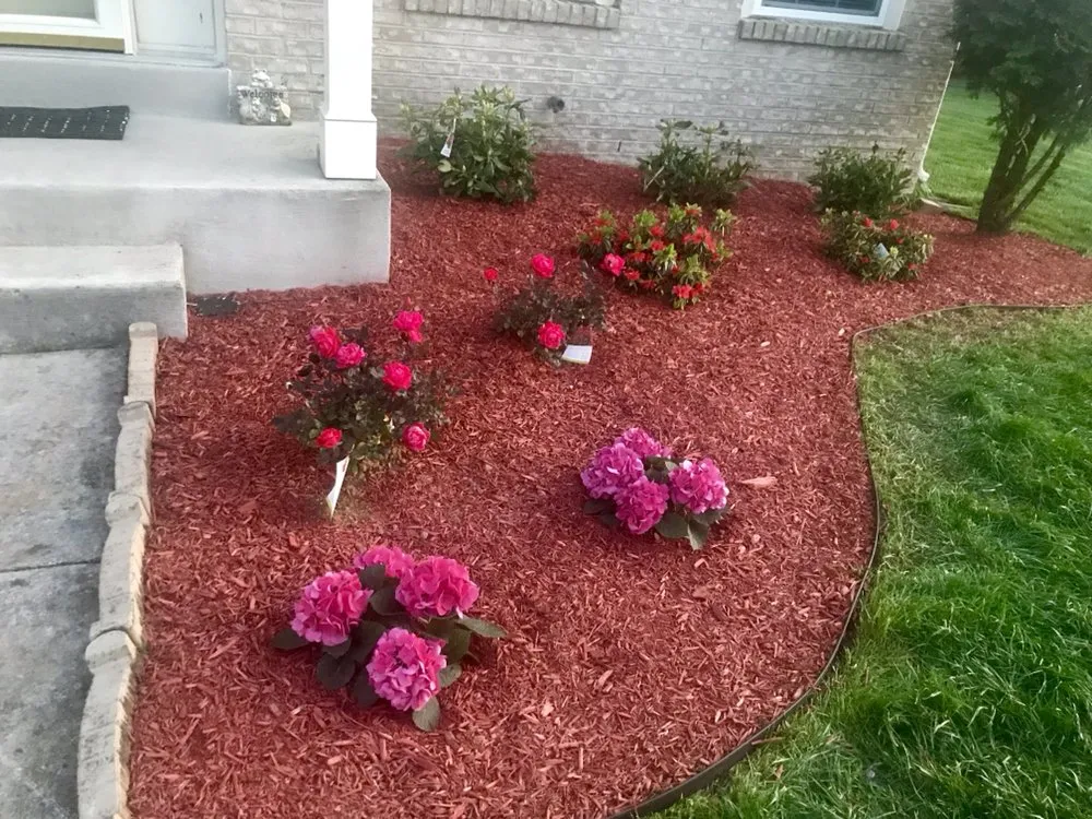 Reliable lawn care service in Baltimore, MD by Affordable K