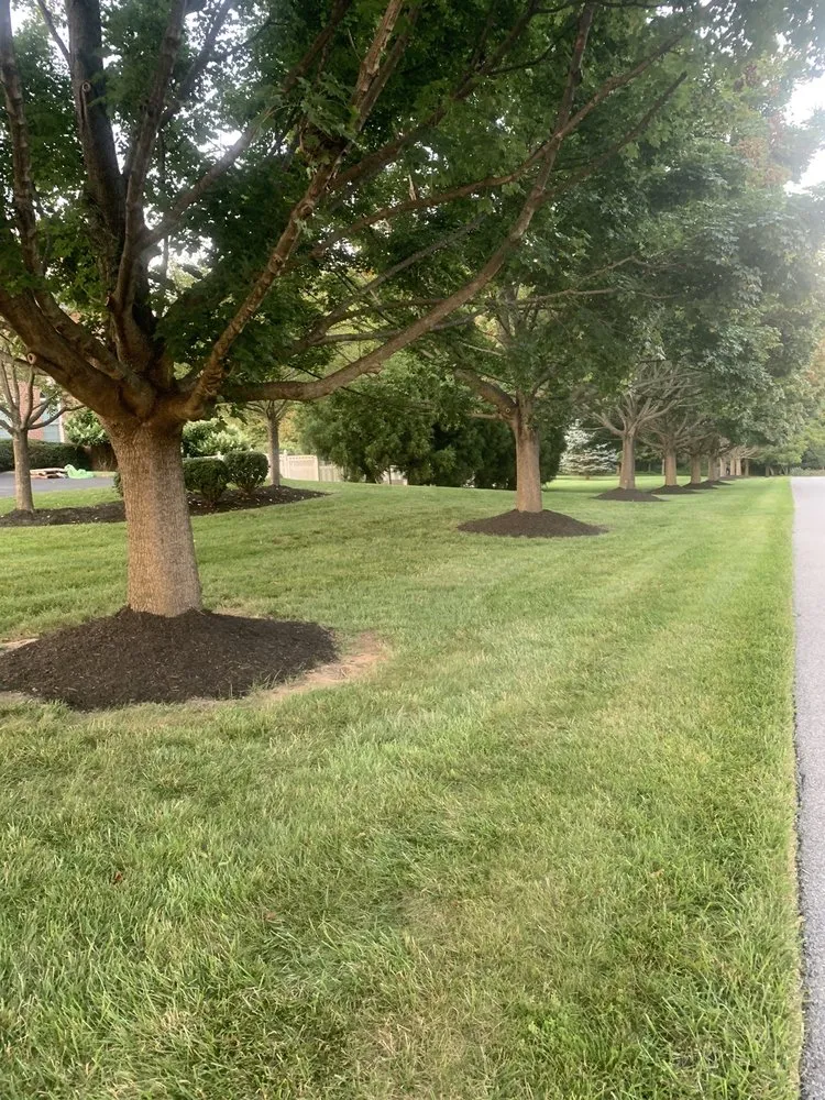 Custom lawn care service experts serving Baltimore, MD - Affordable K