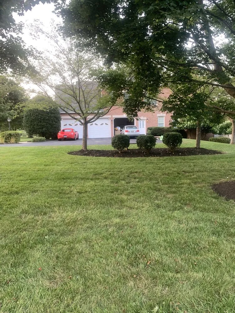 Top-rated outdoor landscaping experts serving Baltimore, MD - Affordable K