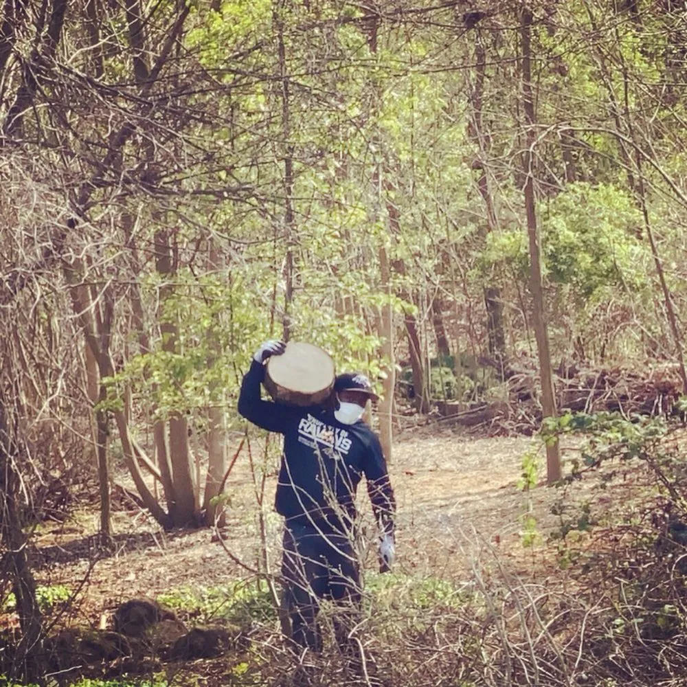 Affordable outdoor landscaping for residential properties across Baltimore, MD - Affordable K