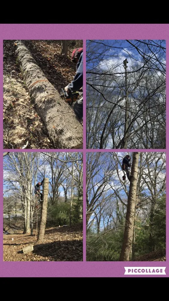 Professional outdoor landscaping in Baltimore, MD - Affordable K