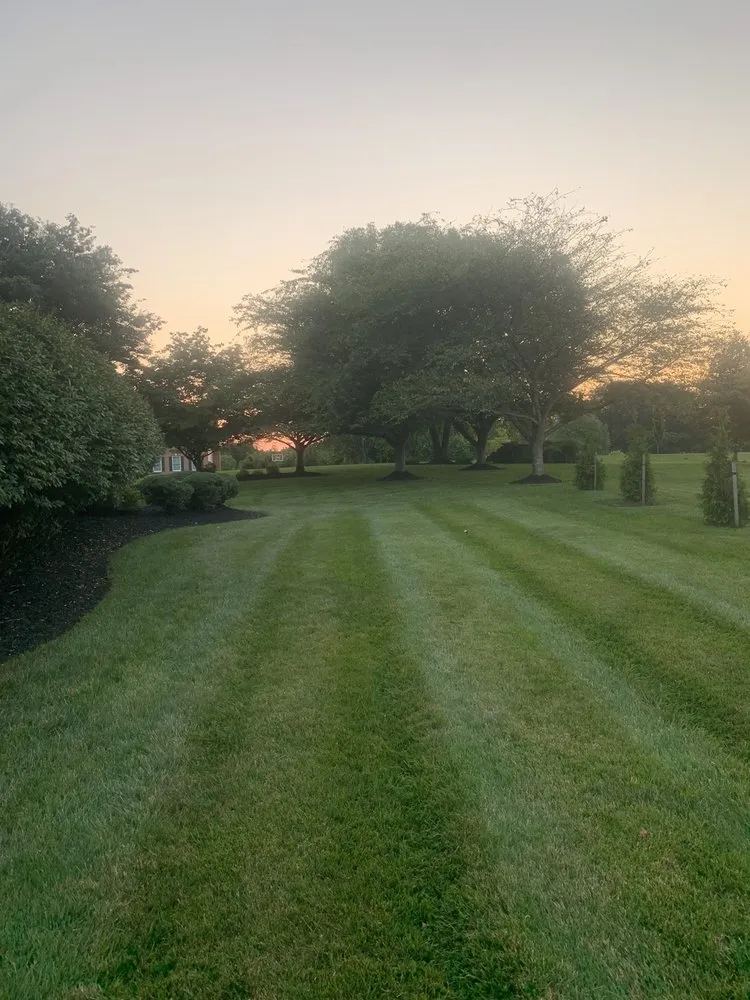 Top-rated garden landscaping in Baltimore, MD - Affordable K