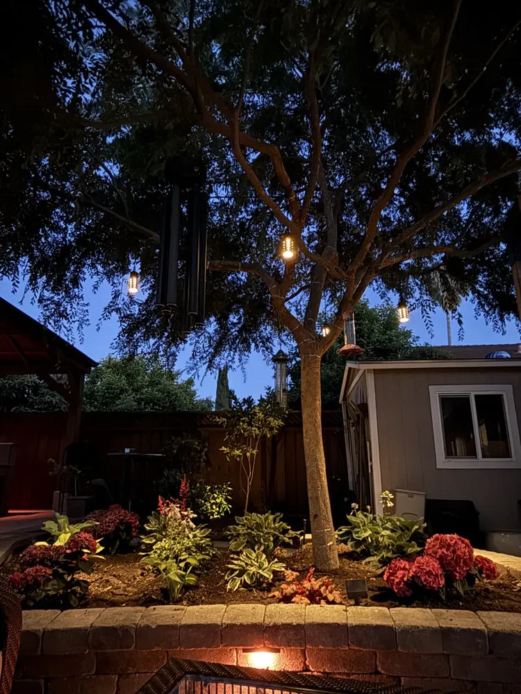 Reliable lawn care service for homes in San Jose, CA by Affordable Landscape & Design