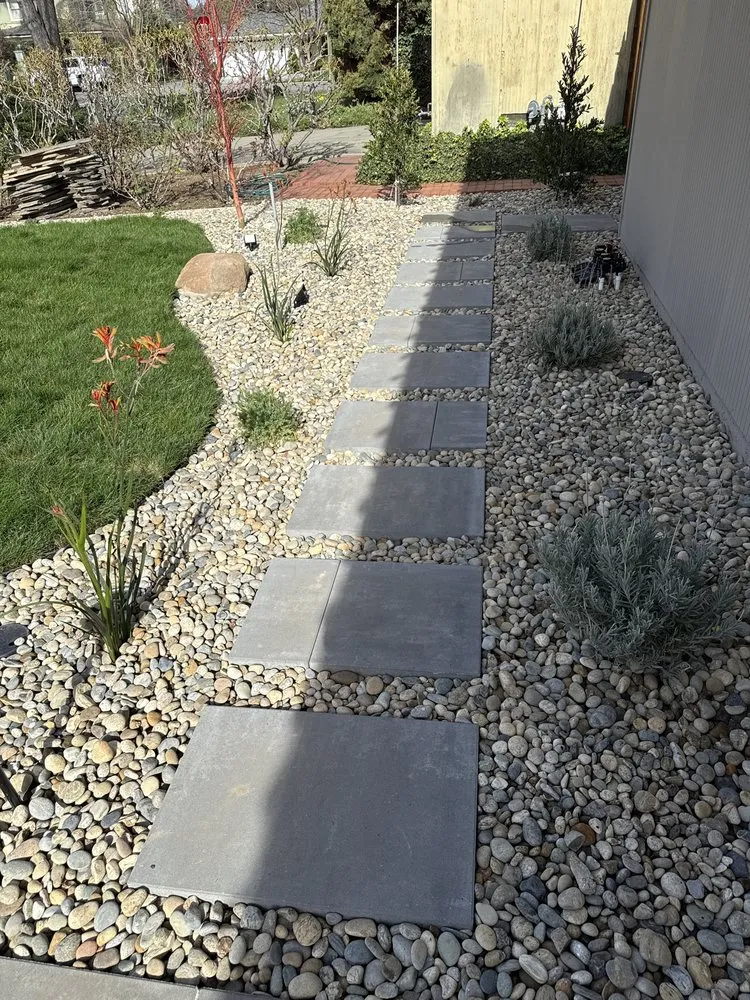 Trusted lawn care service for year-round maintenance across San Jose, CA - Affordable Landscape & Design