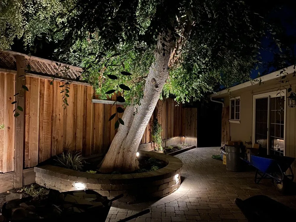 Affordable landscaping services for beautiful yards in San Jose, CA by Affordable Landscape & Design