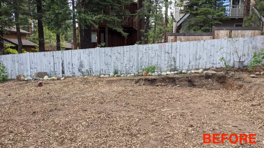 Local yard maintenance experts serving Kings Beach, CA - Affordable Landscape & Maintenance