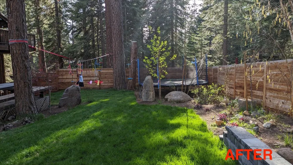 Trusted lawn care service experts serving Kings Beach, CA - Affordable Landscape & Maintenance