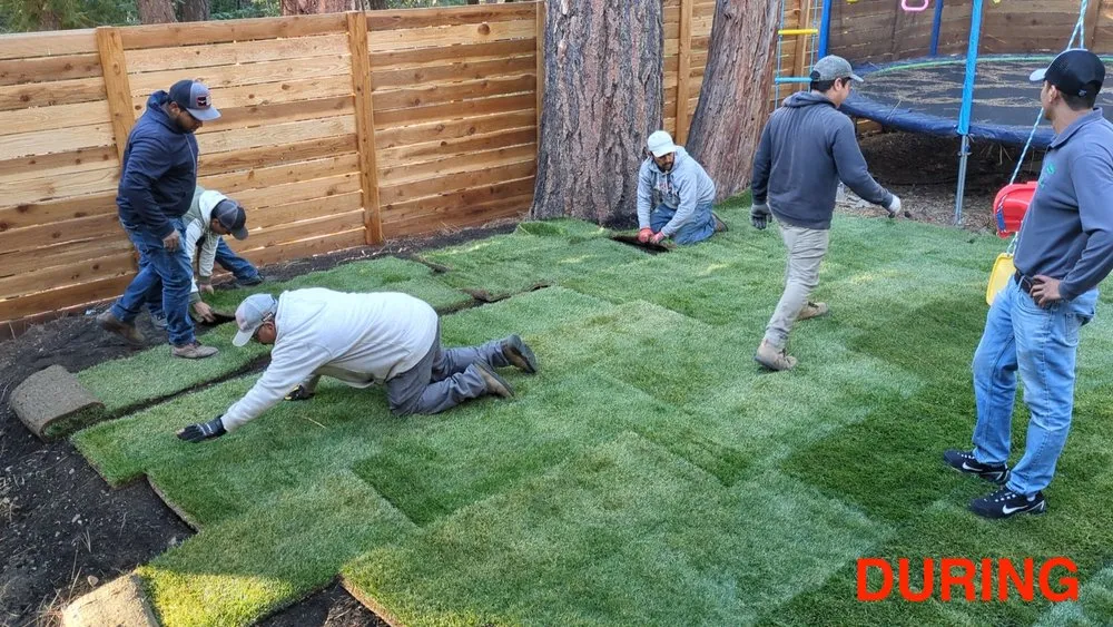 Custom residential landscaping in Kings Beach, CA by Affordable Landscape & Maintenance