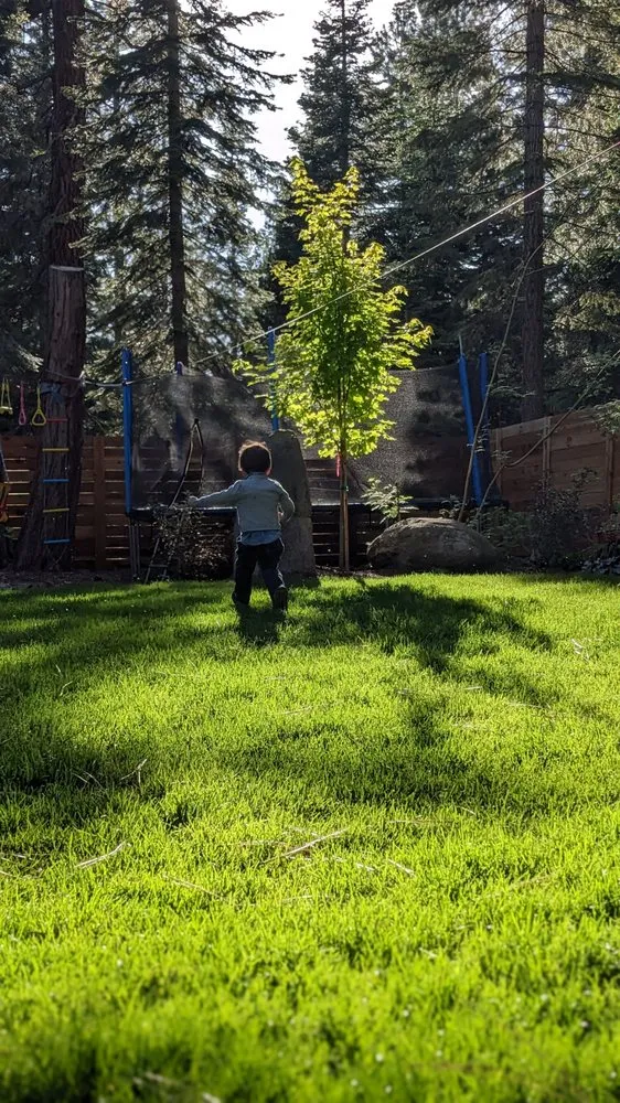 Top-rated garden landscaping for year-round maintenance across Kings Beach, CA - Affordable Landscape & Maintenance