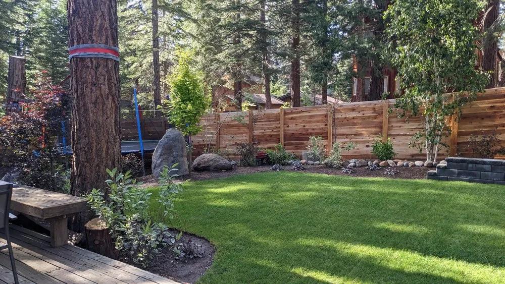 Affordable landscaping services experts serving Kings Beach, CA - Affordable Landscape & Maintenance