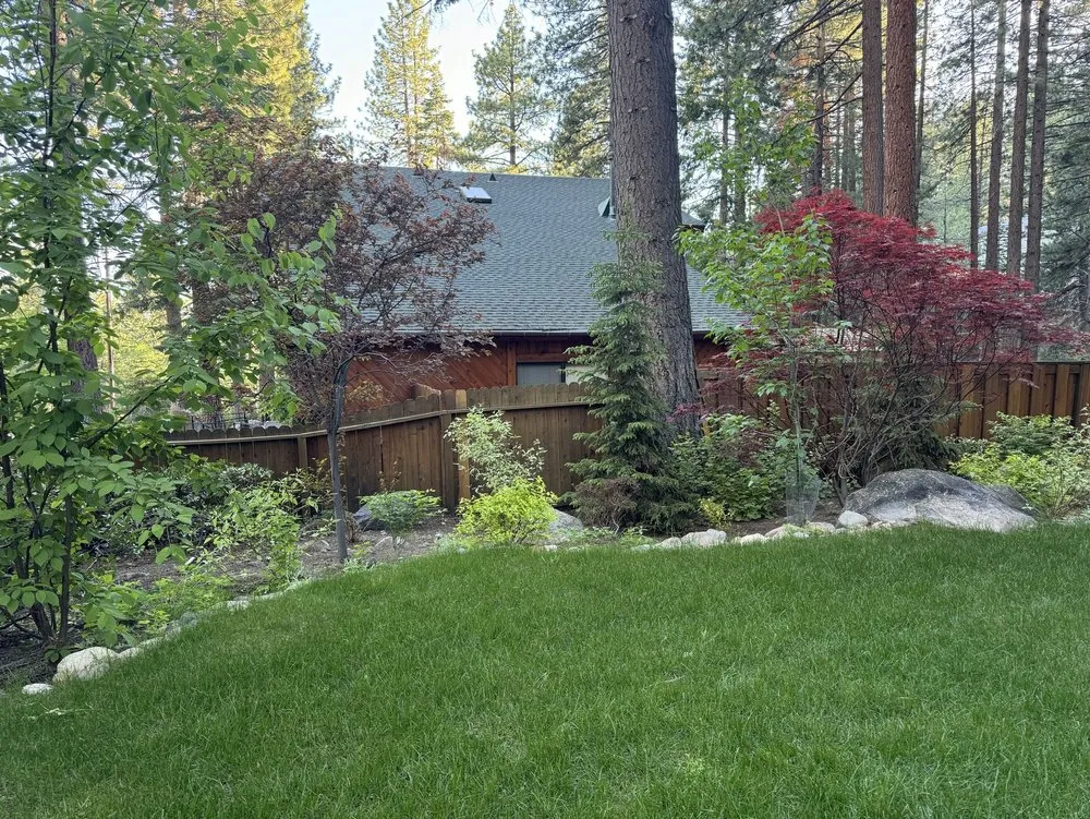Custom lawn mowing service for residential properties in Kings Beach, CA by Affordable Landscape & Maintenance