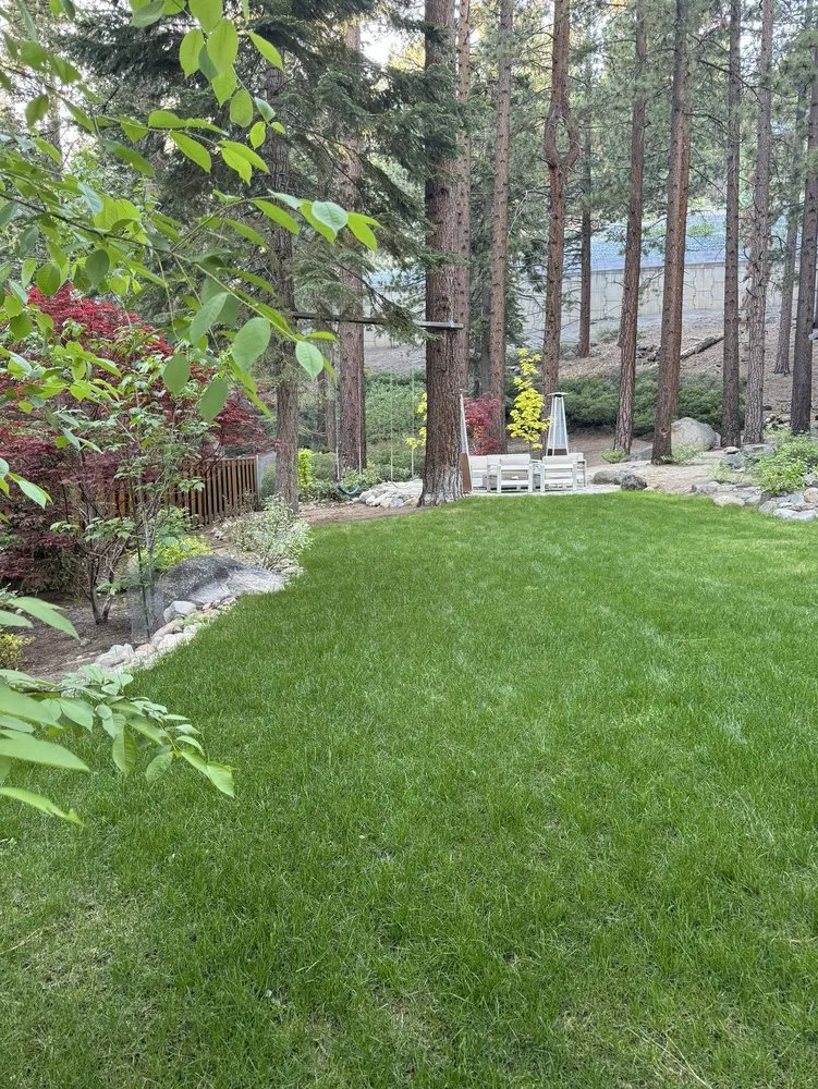 Expert yard maintenance for residential properties across Kings Beach, CA - Affordable Landscape & Maintenance