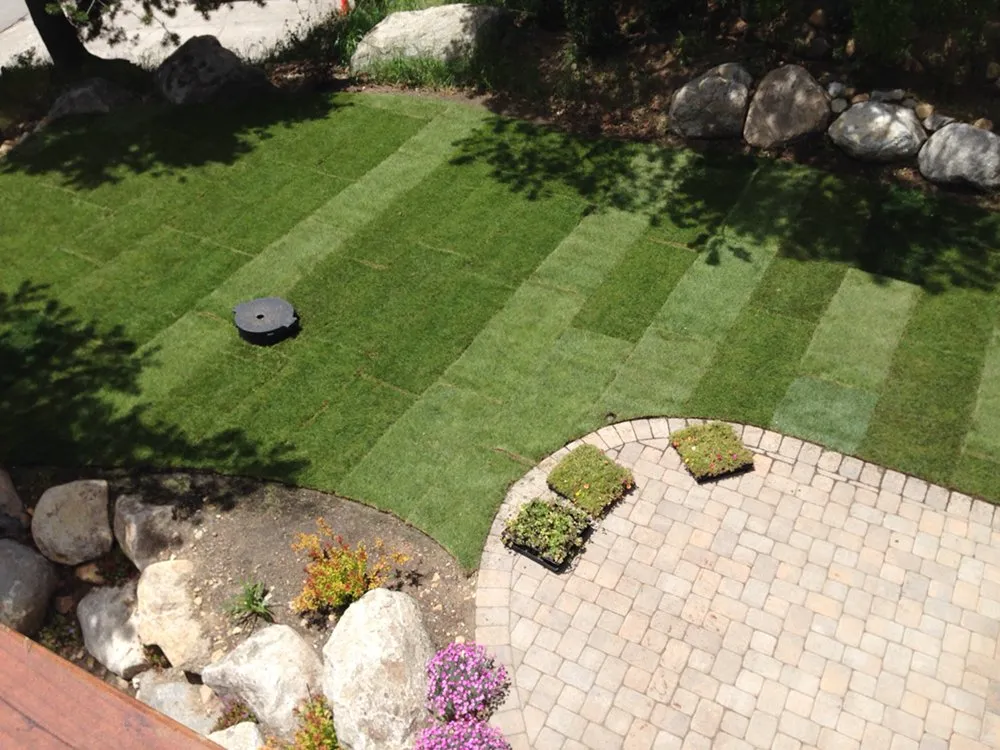 Affordable lawn mowing service in Kings Beach, CA - Affordable Landscape & Maintenance