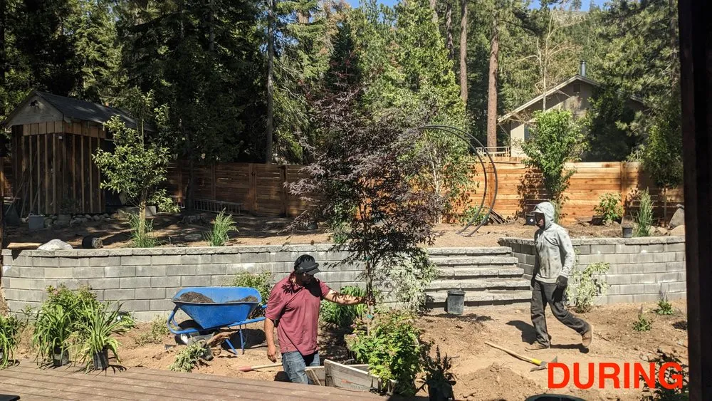 Top-rated yard cleanup service in Kings Beach, CA by Affordable Landscape & Maintenance