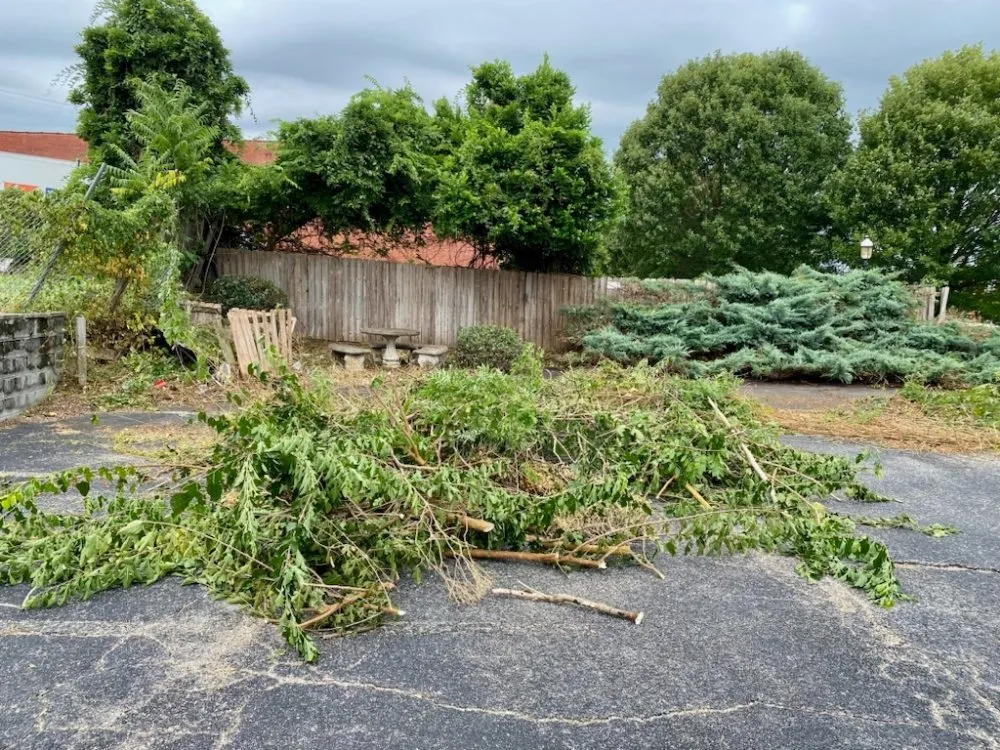 Trusted residential landscaping in Montgomery, AL by Affordable Landscape and Lawn Service