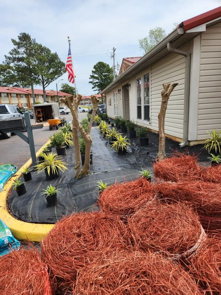 Top-rated lawn care service in Montgomery, AL - Affordable Landscape and Lawn Service