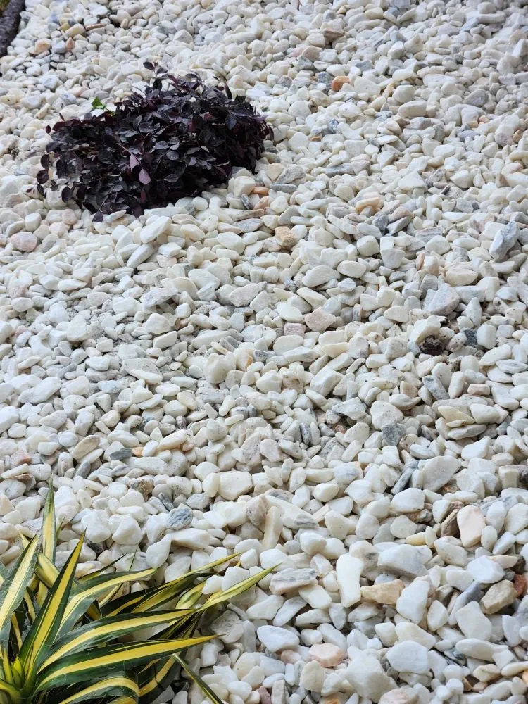 Professional landscape installation in Montgomery, AL by Affordable Landscape and Lawn Service