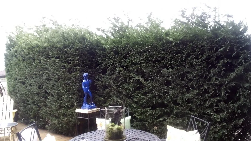 Affordable outdoor landscaping experts serving Seattle, WA - Affordable Landscape And Maintenance