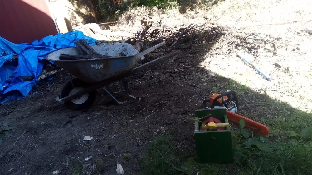 Trusted landscape design with custom design across Seattle, WA - Affordable Landscape And Maintenance