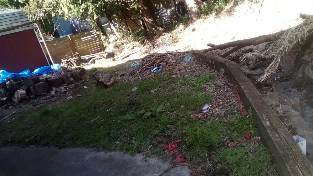 Top-rated yard maintenance for residential properties in Seattle, WA by Affordable Landscape And Maintenance