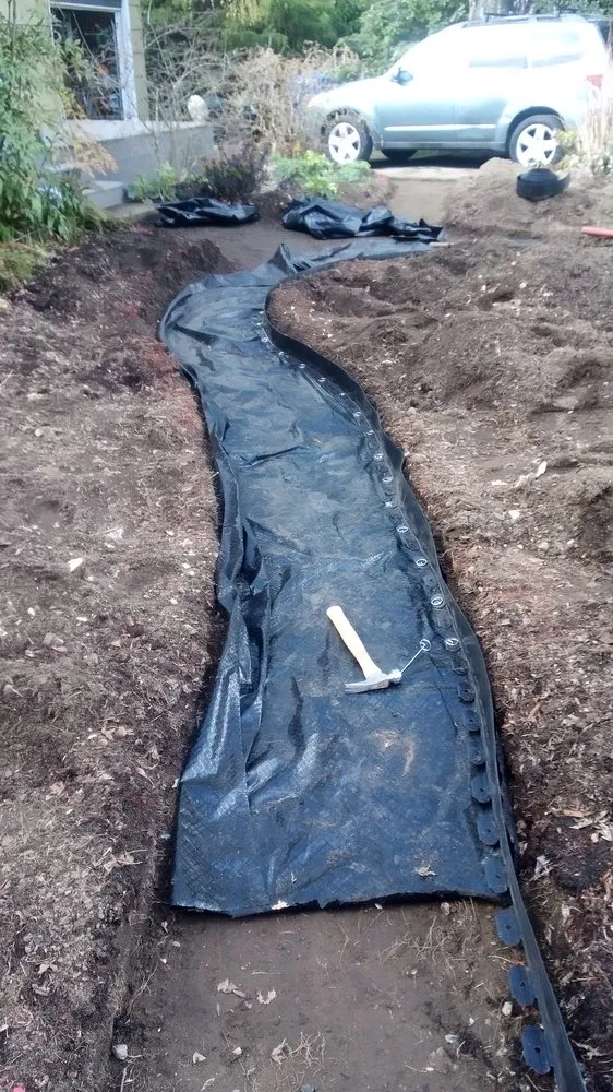 Local lawn care service in Seattle, WA by Affordable Landscape And Maintenance