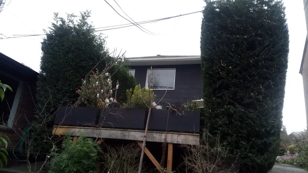 Professional garden landscaping in Seattle, WA by Affordable Landscape And Maintenance