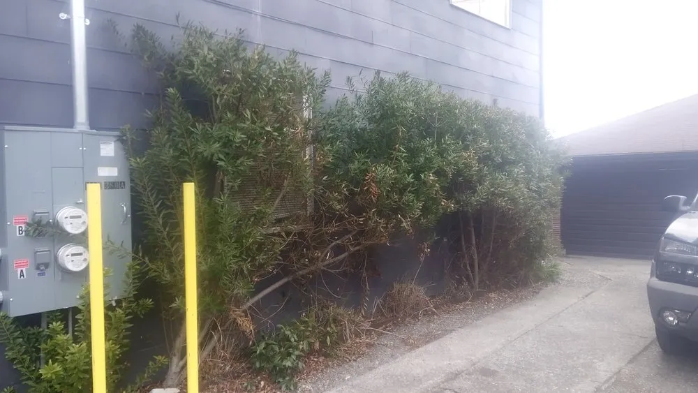 Reliable landscape installation with custom design across Seattle, WA - Affordable Landscape And Maintenance